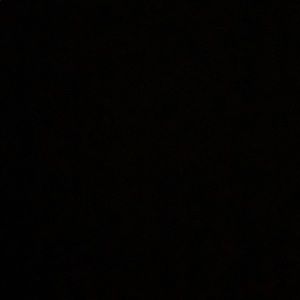 Meet your Posher, Maddy